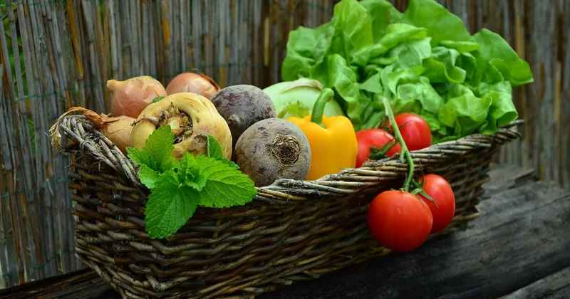 Les ingrédients : la base de toute bonne soupe de légumes maison