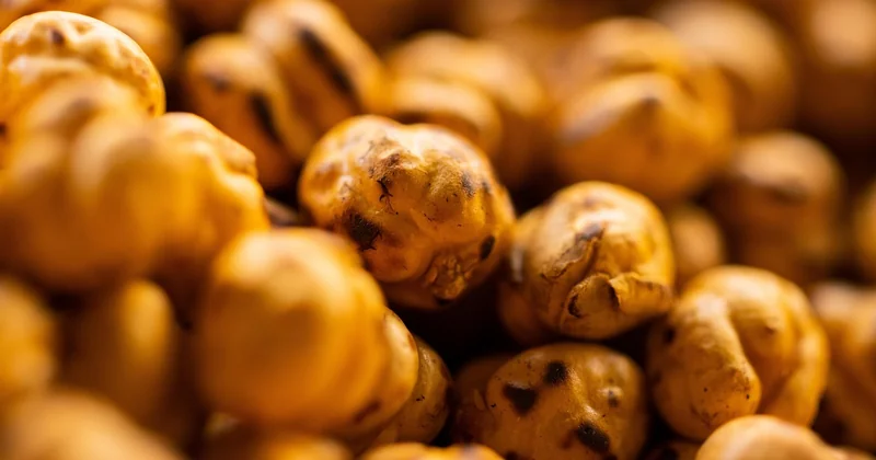 Pois chiches, tofu, tempeh : lequel choisir et comment le préparer